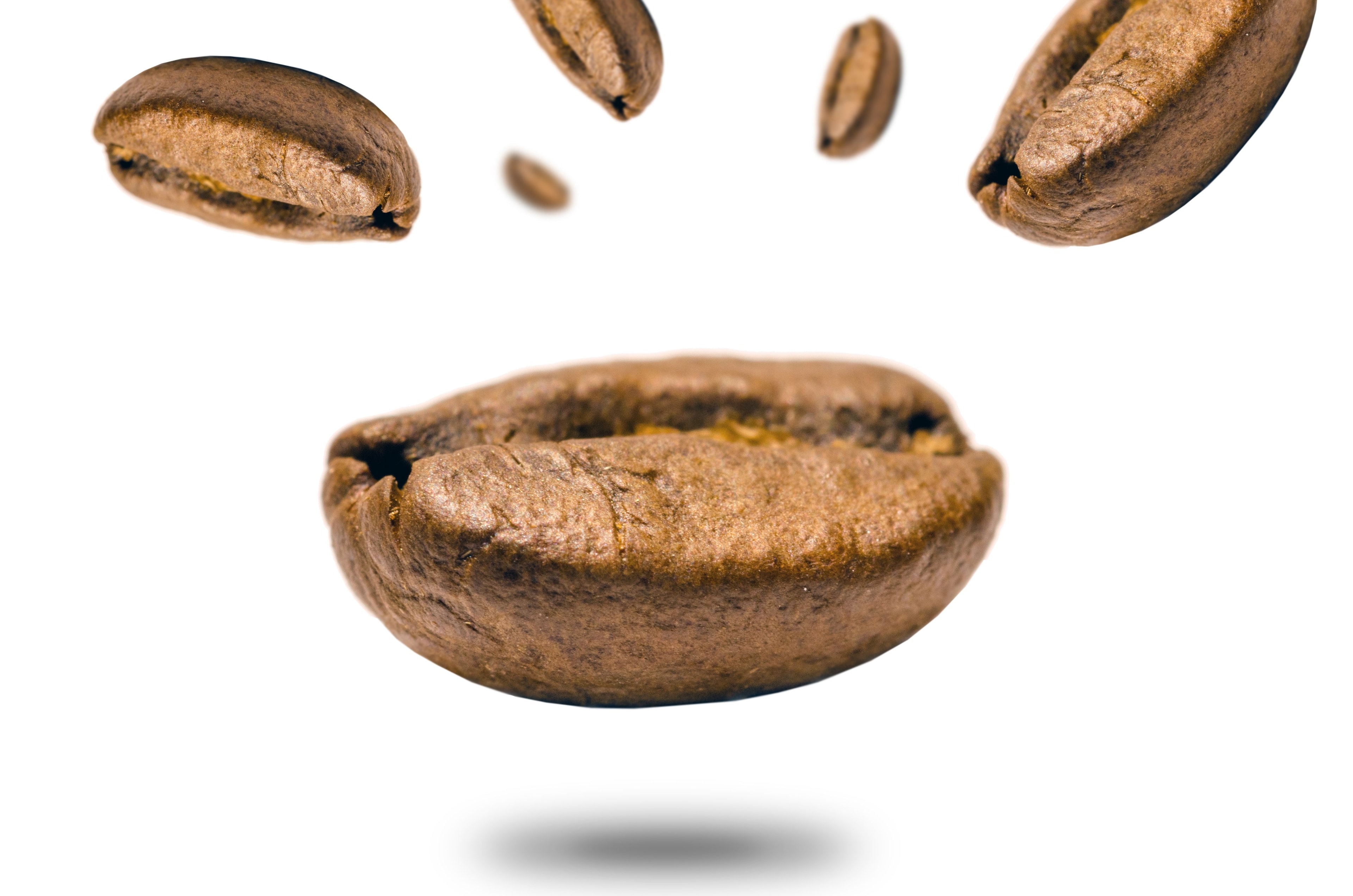 Roasted coffee beans scattered against a bright white background, a light and clean composition