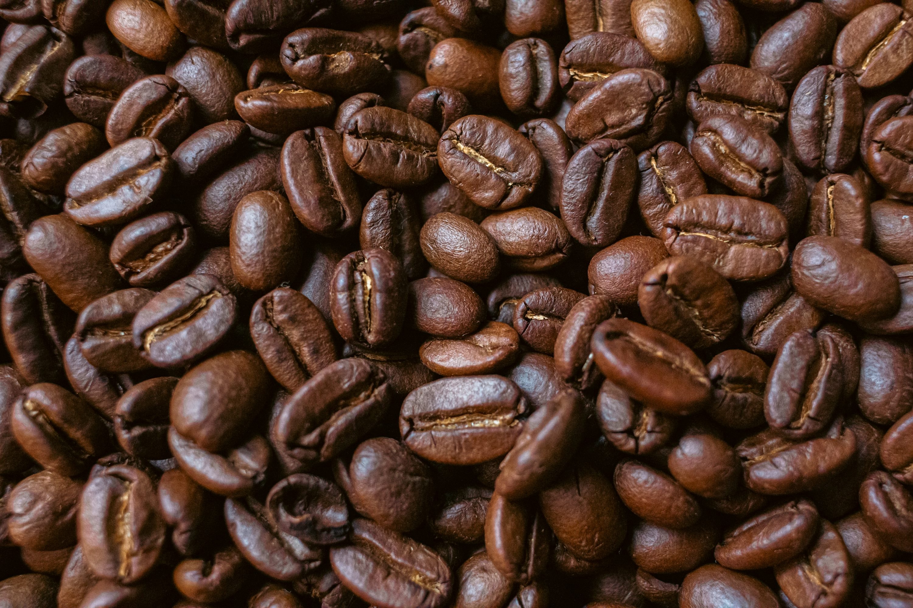 Dark roasted coffee beans photographed close-up against a black background, deep brown-black tones
