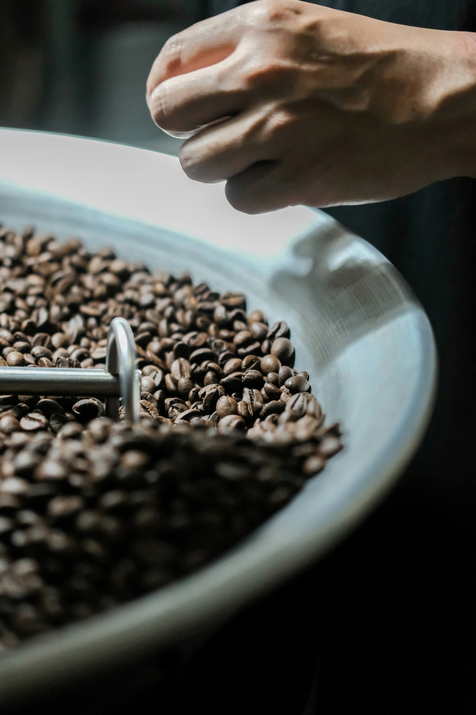 A roaster hand-scooping freshly roasted coffee beans into a bowl, evoking an early small-batch roasting operation